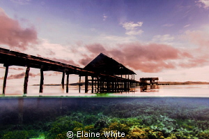 Pier at Kri Eco Resort by Elaine White 